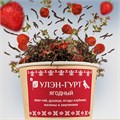 "Ягодный" стакан 50 г c50Berries